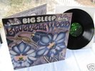 BIG SLEEP BLUEBELL WOOD 1971 MINT PROG. HAMMER