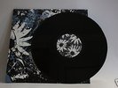 KILLING THE DREAM Fractures 12