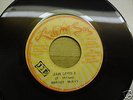 JAH LOVE I - FREDDIE MCKAY - LUCKY STAR 7