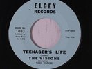 VISIONS: Teenager's Life 45 (few lite sleevemarks on disc) rare Vocal Groups
