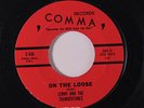 LENNY & THUNDERTONES: On The Loose / The Social 45 Oldies