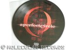 A PERFECT CIRCLE Mer De Noms picture disc 2 x 12