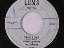 CORNELL GUNTER & ERMINES: True Love 45 (xol) Vocal Groups