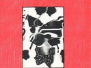 The Sugargliders 7in Vinyl - Butterfly soup