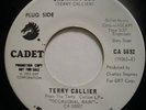 TERRY CALLIER RECORD 45 ORDINARY JOE DJ 5692