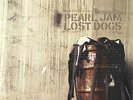 Pearl Jam-Lost Dogs SEALED vinyl