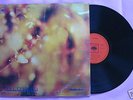 STEAMHAMMER s/t V Rare Orig UK CBS Prog Psych LP MONO