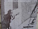*BERMUDA TRIANGLE* RARE 1977 Dreamy-Psych-Folk LP