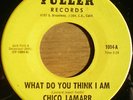 CHICO LAMARR What Do You Think I Am northern 45 FULLER