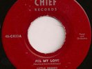 LITTLE FREDDY THE ROCKETS All My Love DOO WOP 45 Chief