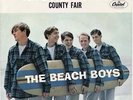 Beach Boys 