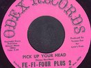 FE-FI-FOUR PLUS 2-45-Great 1967 New Mexico Garage/Punk