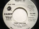 TERRY CALLIER RECORD 45 ORDINARY JOE DJ 5692