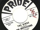 Motivations The Birds/Motivate VG+ exotic surf '63 WLP