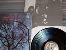 AMON DÜÜL II LP PHALLUS DEI  MINT  WITH BEILAGE  KRAUT