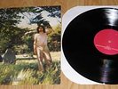 ARIEL PINK - Haunted Graffiti #2 The Doldrums LP RARE