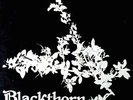 BLACKTHORN Rare UK psych folk LP original POKORA 3*