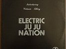 ELECTRIC JUJU NATION - RARE MODERN SOUL BOOGIE LP