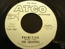 RARE GARAGE 45 - THE GROUPIES-PRIMITIVE/HOG ON ATCO