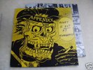 APPENDIX 