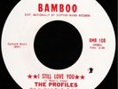 Rare Northern Soul THE PROFILES I Still Love You LISTEN