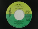 JIMMY McCLOUD northern soul 45 I BLEW IT TRIBE