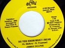 rare Modern Soul 45 JIMMIE DELPHS on MANO Listen