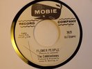 TEFTELLER Garage Fuzz Cobblestones Flower People HEAR