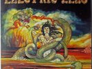 ELECTRIC EELS s/t LP US ORIG CA PRIVATE METAL rare