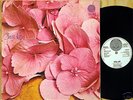 STILL LIFE *swirl vertigo* orig German Press 1971 *RARE