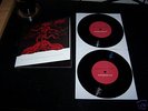 The Mountain Goats - Satanic Messiah OOP ltd 666 2x7