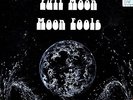 full moon fm001 moon fools private dutch 500 limit ex++