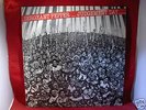 RARE ARIWA LP - JUDGEMENT DAY - SERGEANT PEPPER