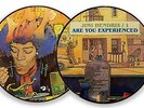 JIMI HENDRIX - Are You Experienced - LP Picture Disc
