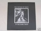 The Sisters Of Mercy In The Dark Night 12