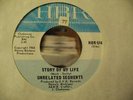 UNRELATED SEGMENTS GREAT MICHIGAN GARAGE 45 HBR 514 VG+
