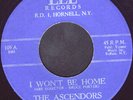 ASCENDORS-45-MONSTER 1966 5-Star Upstate NY Garage/Punk