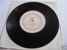 The Evening Outs - RARE 1980 7' The Desperate Bicycles