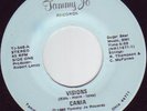 DISCO 7” Cania – Visions  NM LISTEN