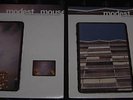 modest mouse the lonesome crowded west vinyl double LP