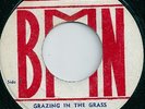 LLANS THELWELL / GRAZING IN THE GRASS /  LISTEN