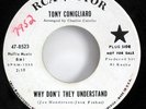 TONY CONIGLIARO Boston Red Sox 1965 NOVELTY 45 HEAR IT