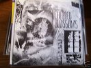 CYRNAI-Charred Blossoms minimal synth LP w/book aloa