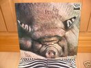 KIN PING MEH -No. 2         Zebra/D/Original Innenhülle