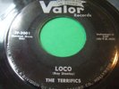WILD SLEAZY EXOTIC ROCKER 45 THE TERRIFICS 