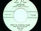 60'S DETROIT/MOD/R&B 45-MACK RICE-LU-PINE-LISTEN 