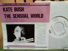 KATE BUSH - JAPAN PS WL PROMO 7