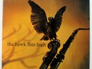 Columbia Hawkins Hawk Flies High Riverside (original)