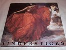 Tindersticks : The First Album, rare UK 2 LP-Set 1993