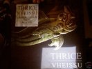THRICE VHEISSU 12